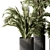 Indoor Greenery Duo in Pots 3D model small image 3