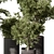 Indoor Greenery Duo in Pots 3D model small image 4