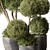 Outdoor Topiary Ball Plant Set 3D model small image 2