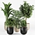 Urban Jungle Plant Collection 010 3D model small image 1