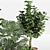 Urban Jungle Plant Collection 010 3D model small image 3