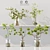 Premium Indoor Plants 3D Model 3D model small image 1