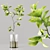 Premium Indoor Plants 3D Model 3D model small image 4