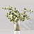 Premium Indoor Plants 3D Model 3D model small image 5