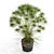  Botanical Variety 727 3D model small image 3