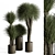 Tropical Fluffy Plant Set 405 3D model small image 1