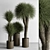 Tropical Fluffy Plant Set 405 3D model small image 2