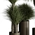 Tropical Fluffy Plant Set 405 3D model small image 3