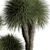 Tropical Fluffy Plant Set 405 3D model small image 4