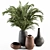 Elegant Vase Plant Decor Set 3D model small image 1