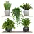  Premium 3D Indoor Plants_virtualnaya kollektsiya 3D model small image 1