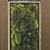 Glass-Encased Vertical Garden Set 3D model small image 3