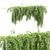  Hanging Wall Plants Vol. 109 3D model small image 2