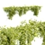  Hanging Wall Plants Vol. 109 3D model small image 3