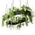 Ring Planter Light with Plants 3D model small image 1