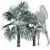 Detailed Bismarckia Nobilis Palm Models 3D model small image 1