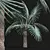 Detailed Bismarckia Nobilis Palm Models 3D model small image 3