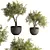 Modern Indoor Plant Set 2015 3D model small image 1