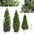 European Hornbeam Tree Collection 3D model small image 1