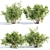 Bushes #4 Volume 110 Collection 3D model small image 1