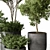 Foliage Duo Set - Potted Verdure 3D model small image 2