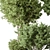 Foliage Duo Set - Potted Verdure 3D model small image 4