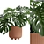 Tropical Monstera Deliciosa 3D Plant 3D model small image 2