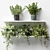 Bubble Pot Shelf Plants 3D model small image 1