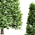 3 Carpinus Betulus Tree Models 3D model small image 2