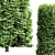 3 Carpinus Betulus Tree Models 3D model small image 3