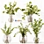 Premium Indoor Plants Model Collection 3D model small image 1