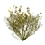 Snakeweed Cluster 3D Model 3D model small image 4