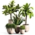 Contemporary Indoor Plant Set 04 3D model small image 1