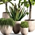 Contemporary Indoor Plant Set 04 3D model small image 2