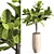 Contemporary Indoor Plant Set 04 3D model small image 3