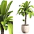 Contemporary Indoor Plant Set 04 3D model small image 4