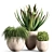 Contemporary Indoor Plant Set 04 3D model small image 5