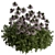 Alpine Queen Bush Set 3D model small image 1