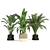 Tropical Plants 3D Model Pack 3D model small image 2