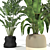Tropical Plants 3D Model Pack 3D model small image 3