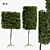 Dual Square & Cylinder Topiary Trees 3D model small image 1