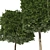 Dual Square & Cylinder Topiary Trees 3D model small image 2