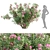 Mediterranean Oleander Collection Vol. 112 3D model small image 3