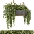 Gray Pot Hanging Plants Collection 3D model small image 1