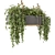 Gray Pot Hanging Plants Collection 3D model small image 6