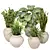 Indoor Plants 3D Model Collection 3D model small image 2