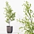 High-Quality Collection of Indoor Plants 3D model small image 2