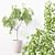 High-Quality Collection of Indoor Plants 3D model small image 5