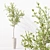High-Quality Collection of Indoor Plants 3D model small image 6
