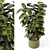 Rusty Concrete Pot Indoor Plants 3D model small image 3